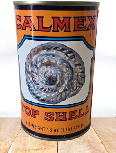 Mexican Top Shell